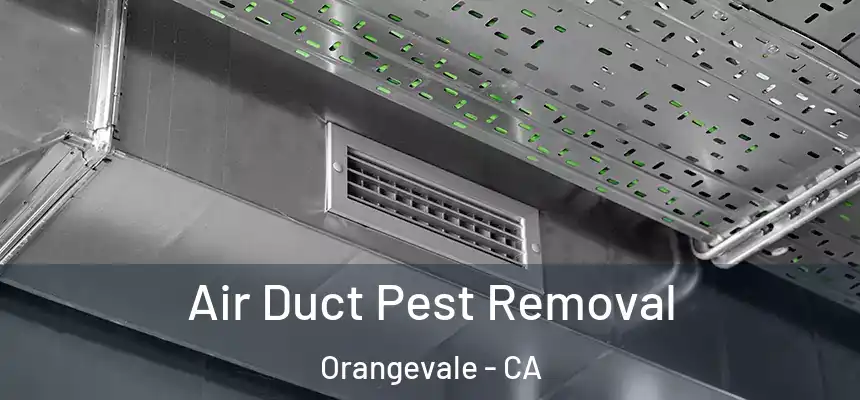  Air Duct Pest Removal Orangevale - CA