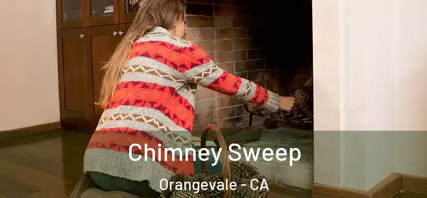  Chimney Sweep Orangevale - CA