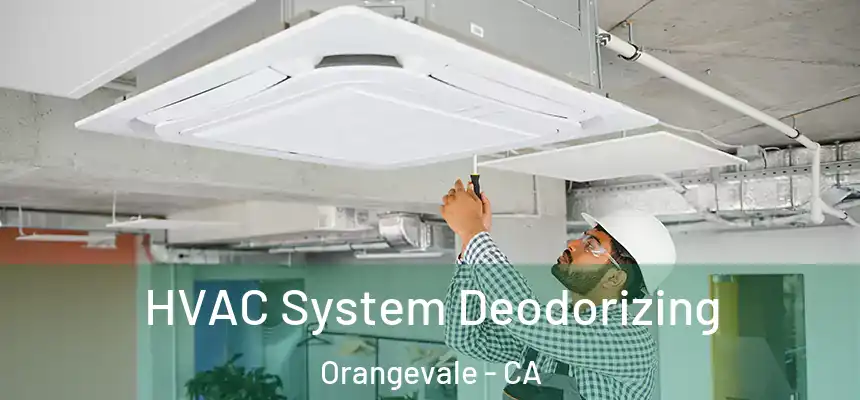  HVAC System Deodorizing Orangevale - CA