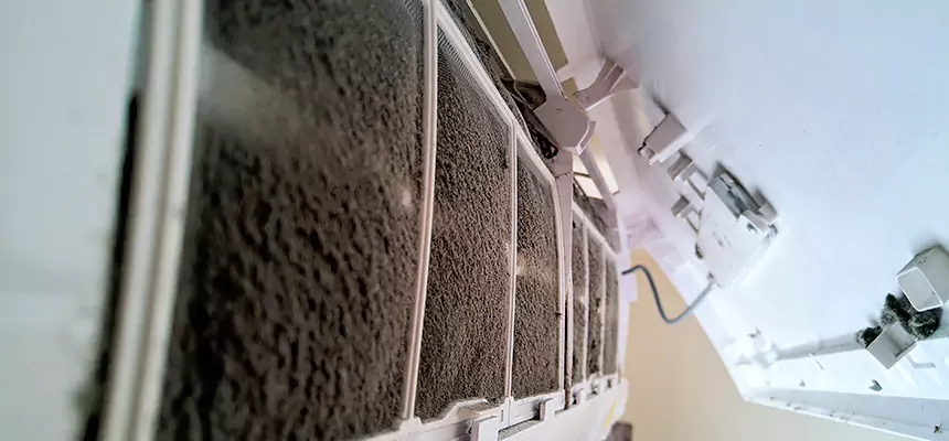 Preventive Air Duct Bacteria Removal in Orangevale