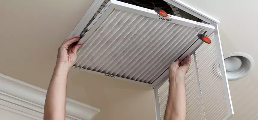 Preventive Cockroach-Proofing for Ducts in Orangevale