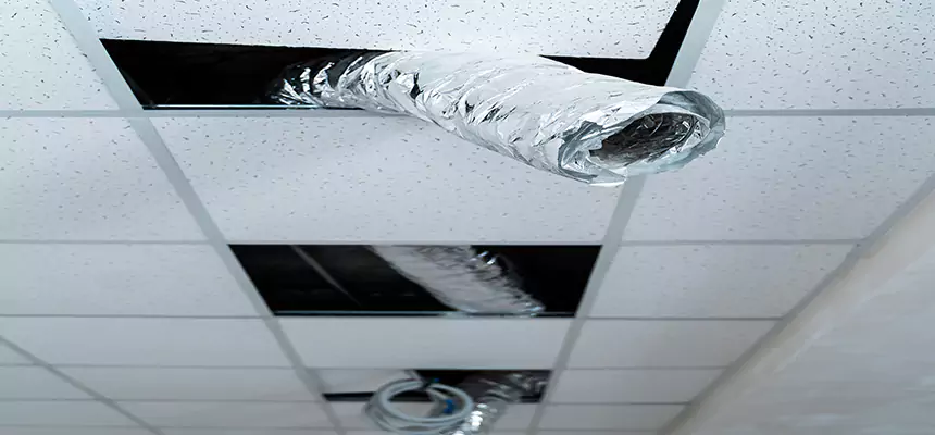 Affordable HVAC Sanitizing After Pest Removal in Orangevale