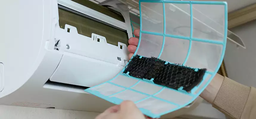 Gentle Ductwork Odor-Control Pet Dander Duct Cleaning in Orangevale, CA