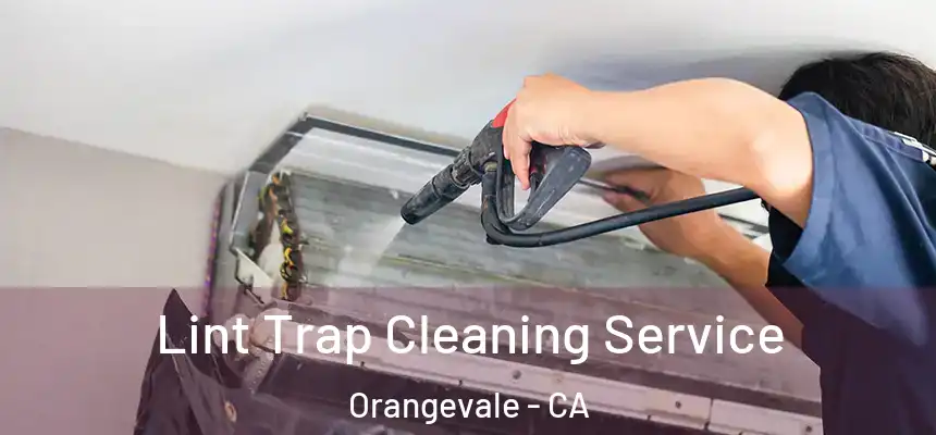  Lint Trap Cleaning Service Orangevale - CA