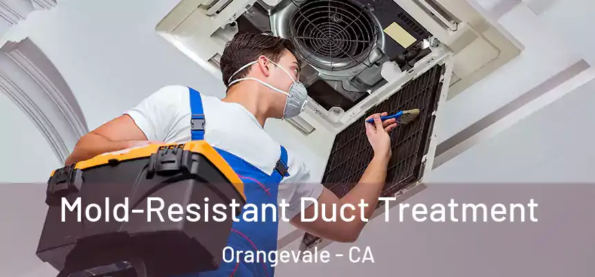  Mold-Resistant Duct Treatment Orangevale - CA