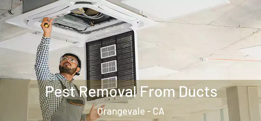  Pest Removal From Ducts Orangevale - CA
