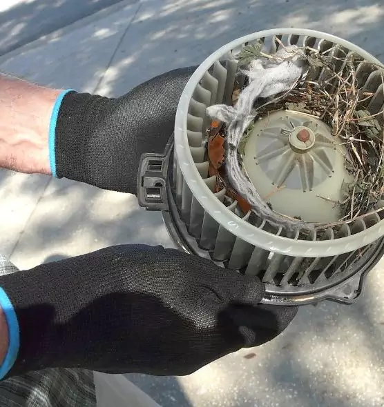 About Air Duct Mice Removal in Orangevale, CA