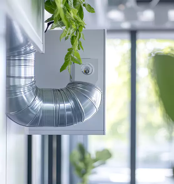 Professional Eco-Friendly Duct Cleaning Services in Orangevale, CA