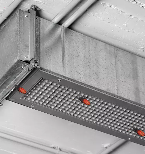 Affordable Insect Removal from Air Ducts in Orangevale, CA