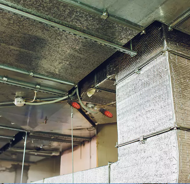 Why Homeowners & Businesses Trust Us in Orangevale, CA?