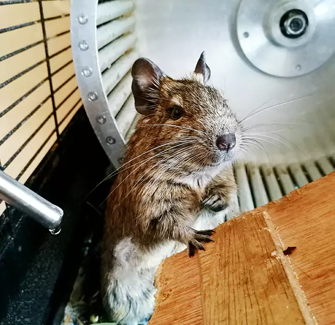 Why Homeowners & Businesses Trust Us Orangevale, CA?