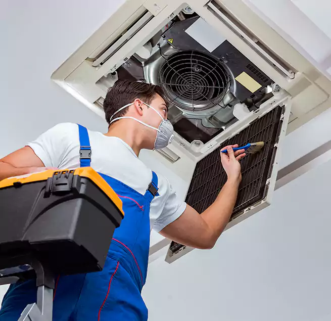 Why Homeowners & Businesses Trust Us in Orangevale, CA?