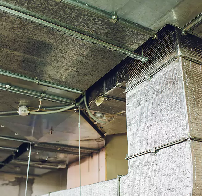 Why Homeowners & Businesses Trust Us in Orangevale, CA?